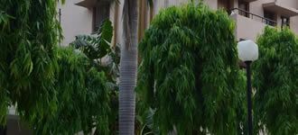 University Hostel for Women